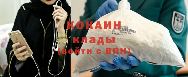 молекула духа Богданович