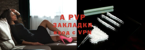молекула духа Богданович