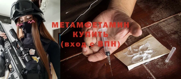 молекула духа Богданович