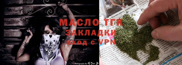 молекула духа Богданович