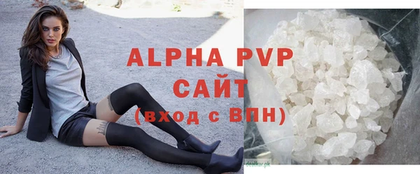 молекула духа Богданович