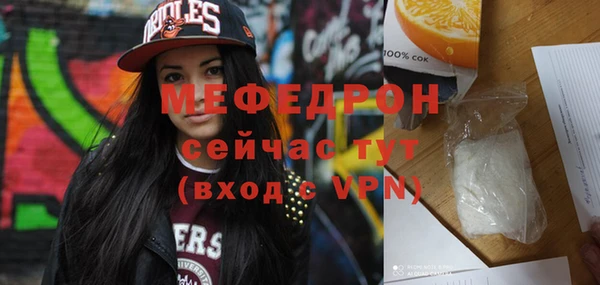 молекула духа Богданович