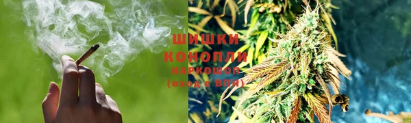 молекула духа Богданович