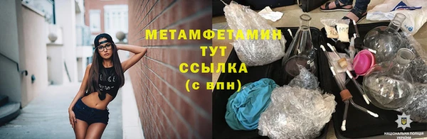 молекула духа Богданович
